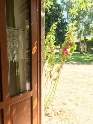 Jardin de l'établissement la raymondiere
