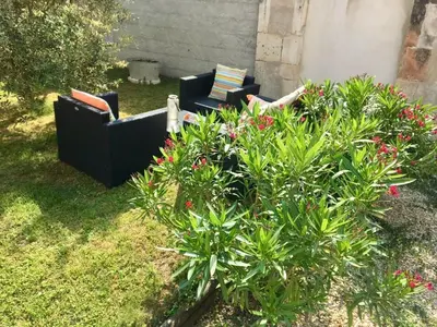 Jardin de l'établissement Le Nid de Sigogne