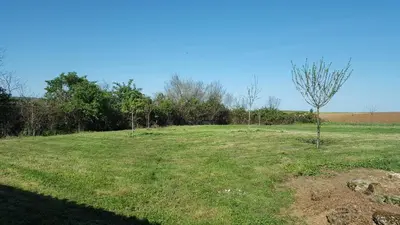 Jardin de l'établissement Le Champêtre