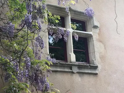 Jardin de l'établissement La Maison Arouet