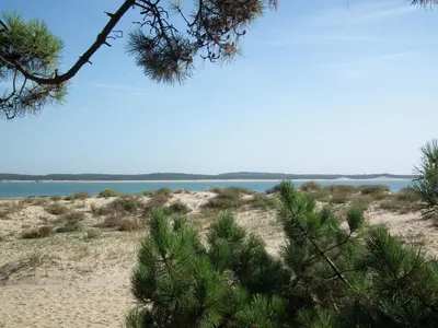 Paysage naturel près de l'appartement
