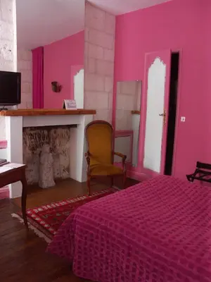 Télévision ou salle de divertissement dans l'établissement Hôtel du Palais