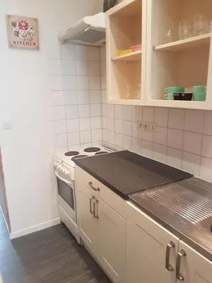 Cuisine ou kitchenette dans l'établissement La Laverie