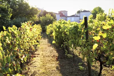 Jardin de l'établissement Le Bonheur- Suite Cognac