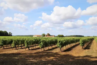 Paysage naturel près de le B&B/chambre d'hôtes