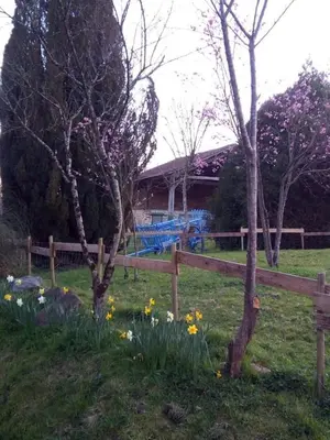 Jardin de l'établissement Le Jolie Grenier a Foin