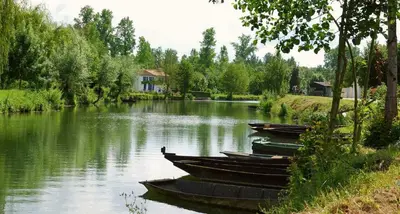 Vue sur la rivière ou le fleuve situé(e) à proximité de la maison de vacances