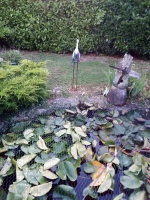 Jardin de l'établissement chambre d hotes