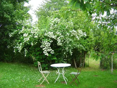 Jardin de l'établissement Les Trois Chenes