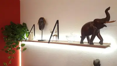 Animaux dans l'appartement ou à proximité