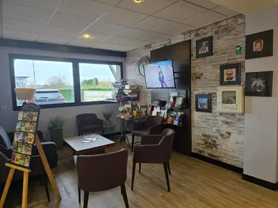 Télévision ou salle de divertissement dans l'établissement Hôtel Inn Design & Restaurant Poitiers
