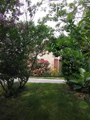 Jardin de l'établissement Gîte La Cibulle