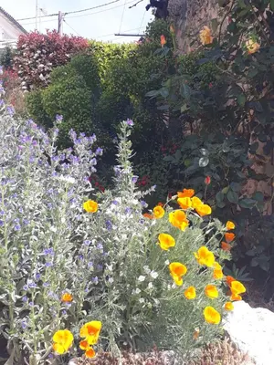 Jardin de l'établissement LA MESONNETTA