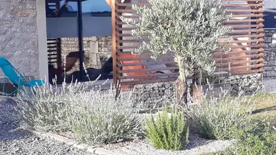 Jardin de l'établissement LA MESONNETTA