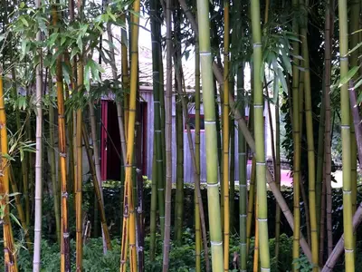 Jardin de l'établissement Domaine TerrOcéane