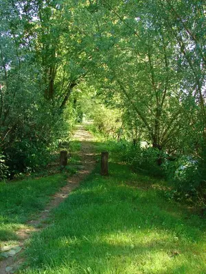 Paysage naturel près de la maison de vacances