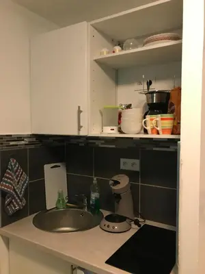 Cuisine ou kitchenette dans l'établissement Appartement Futuroscope-J'
