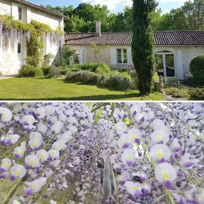 Jardin de l'établissement La Loge du Grand Cèdre, gîte de charme