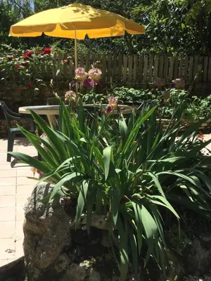 Jardin de l'établissement Les noyers aulnay