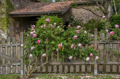 Jardin de l'établissement Chambres d'Hôtes La Pocterie