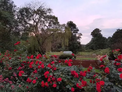 Jardin de l'établissement Maison d'hôtes le Moulin de Bois Coûtant