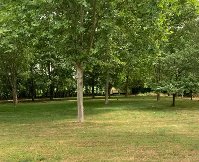 Jardin de l'établissement Maison d'hôtes La Chabanaise - Marais Poitevin