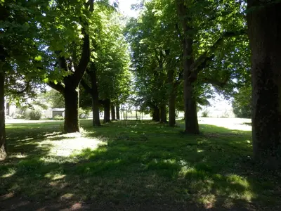Jardin de l'établissement Château Ardilleux