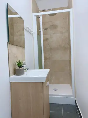 Salle de bains dans l'établissement Le MonMon grand T2 hyper centre ville