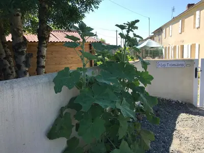 Jardin de l'établissement Les Trémières