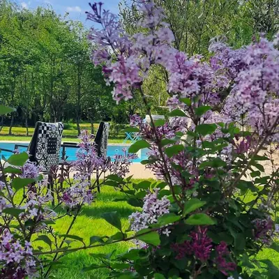 Jardin de l'établissement L'instant bleu