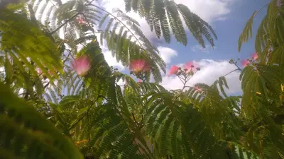 Jardin de l'établissement Chambre d'hôtes Au Chant des Vents