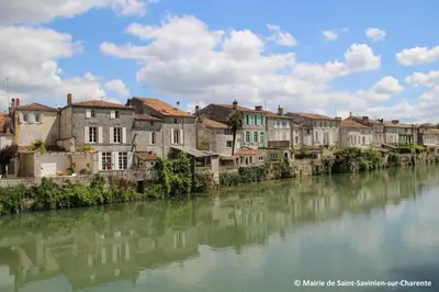 Vue sur la rivière ou le fleuve situé(e) à proximité de l'hôtel