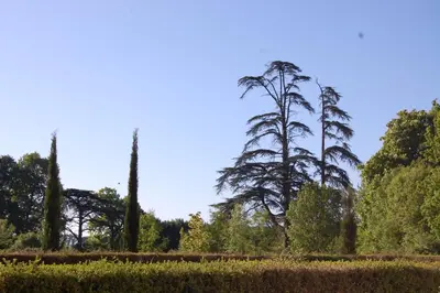 Jardin de l'établissement Gite du chateau