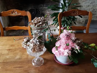 Nourriture dans le B&B/chambre d'hôtes ou à proximité