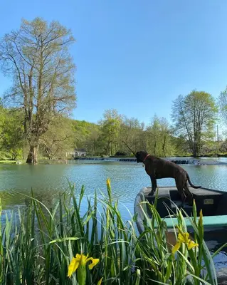 Vue sur la rivière ou le fleuve situé(e) à proximité de la maison de vacances