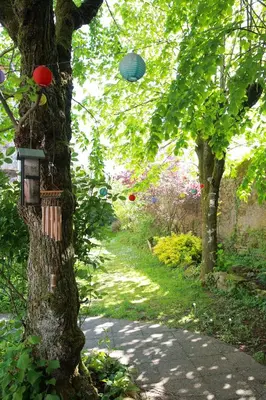 Jardin de l'établissement Gîte La Loge des Fées