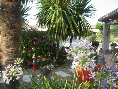 Jardin de l'établissement La Roseraie
