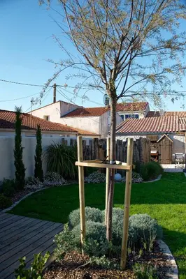 Jardin de l'établissement La maison de Gaston Port des Barques