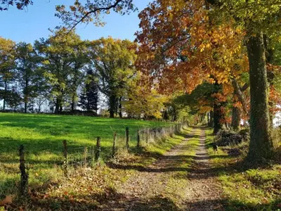 Paysage naturel près de la maison de vacances