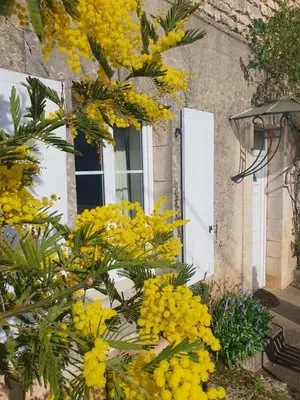 Jardin de l'établissement gîte du luquet