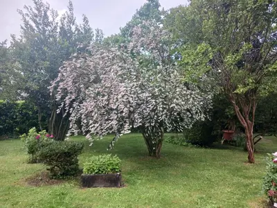 Jardin de l'établissement La Demeure D'Ezilda