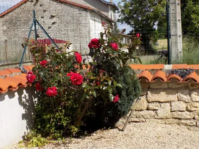 Jardin de l'établissement La maisonnette
