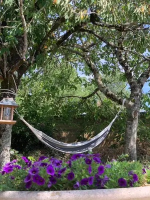 Jardin de l'établissement Montaillon Chambres d'Hôtes