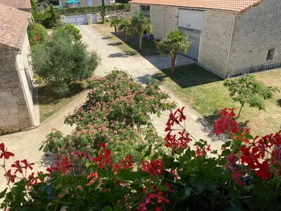 Jardin de l'établissement Montaillon Chambres d'Hôtes