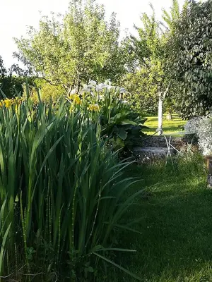 Jardin de l'établissement La Clé du Puy