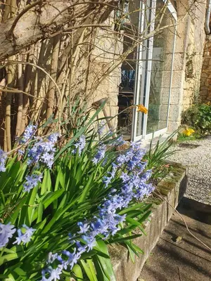 Jardin de l'établissement chambre d'hôtes du Luquet