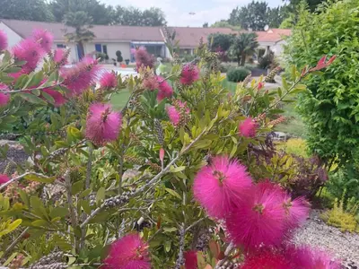 Jardin de l'établissement Lagalerne