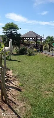 Animaux dans le B&B/chambre d'hôtes ou à proximité