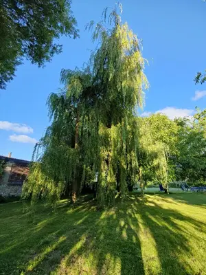 Jardin de l'établissement Le moulin d'Annepont