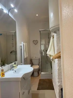 Salle de bains dans l'établissement Le GREEN & PEACE Centre Historique, en face du musée du Pilori, à 2mn à pied de l'hyper centre et proche toutes commodités, WIFI-Netflix
